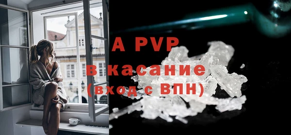 трава Белокуриха