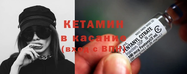 трава Белокуриха