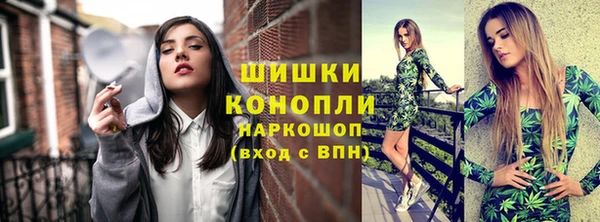 трава Белокуриха