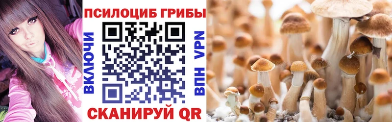 цены наркотик  Полесск  Псилоцибиновые грибы прущие грибы 