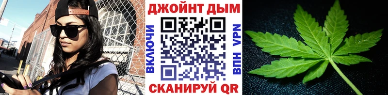 Конопля сатива  Полесск 